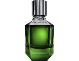 عطر روبرتو كافالي باراديسو فاوند فور من او دي تواليت تستر